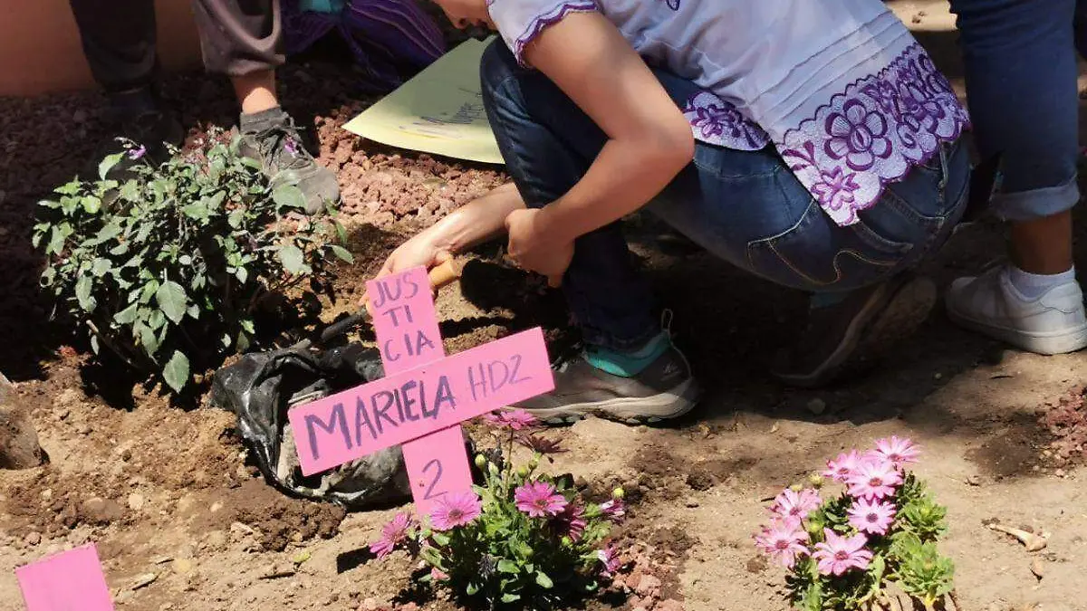 Mujeres plantan flores tras movilizarse en Oaxaca o 